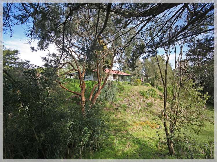66 Palmer Road Foxton Beach_7