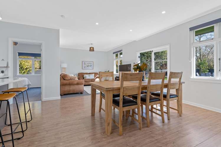 95 David Street Hinds_8