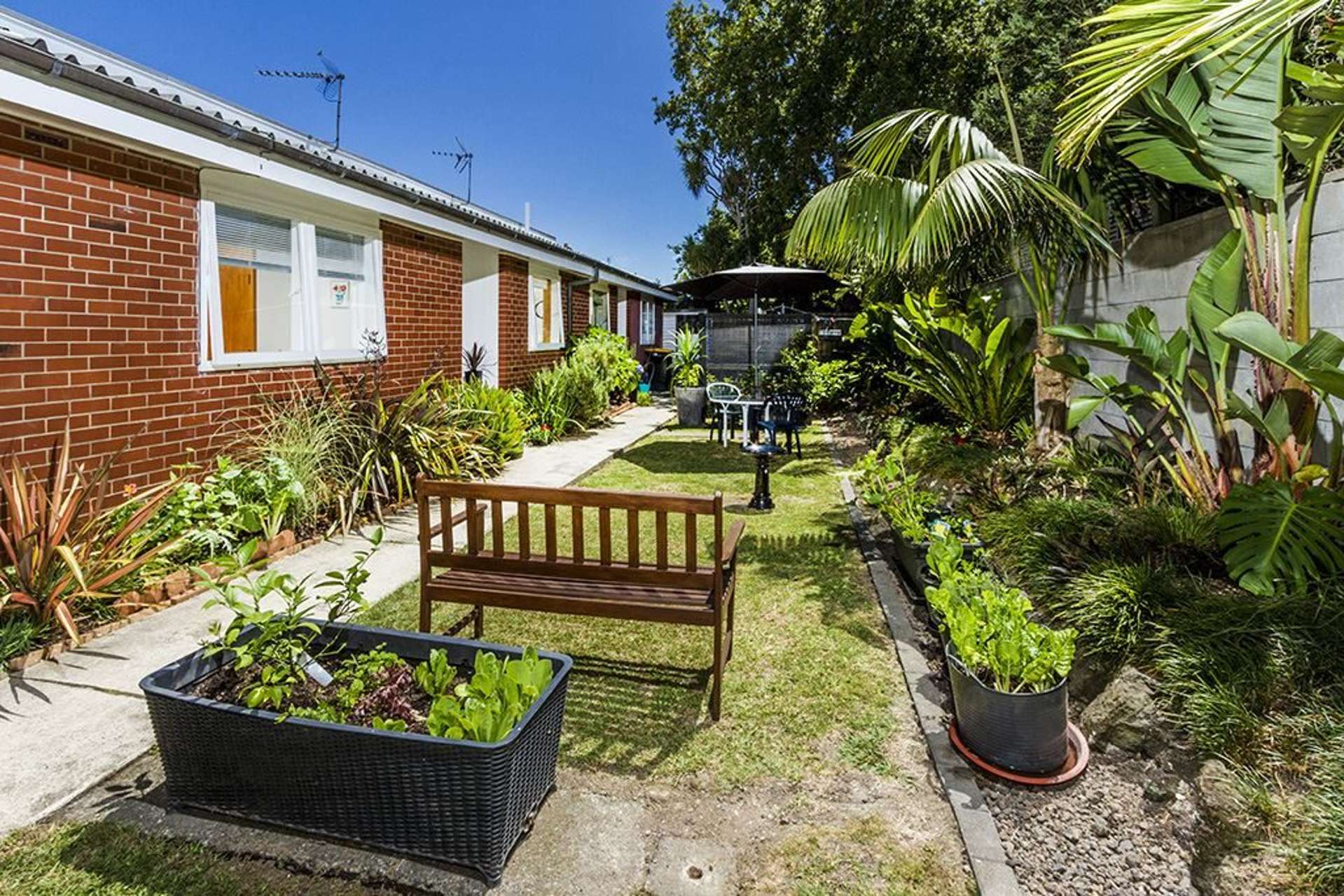 4/6 North Avenue Narrow Neck_0