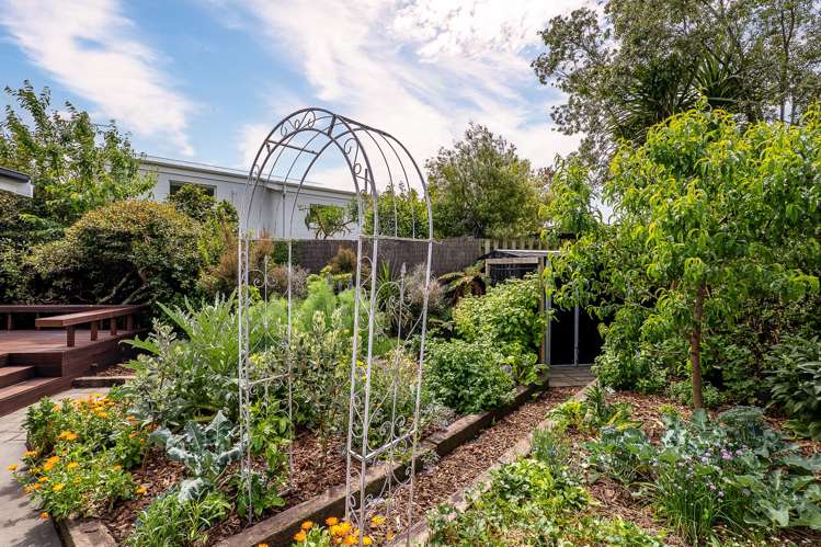 24C Bowenvale Avenue Cashmere_22