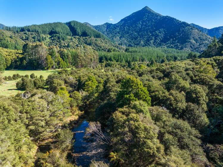 Lots 3 4 5 Nydia Bay Marlborough Sounds_24