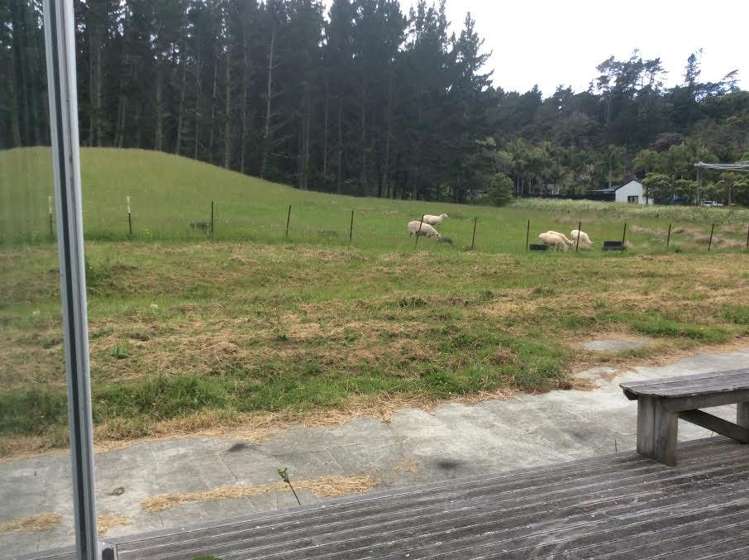 1471 East Coast Road Redvale_0