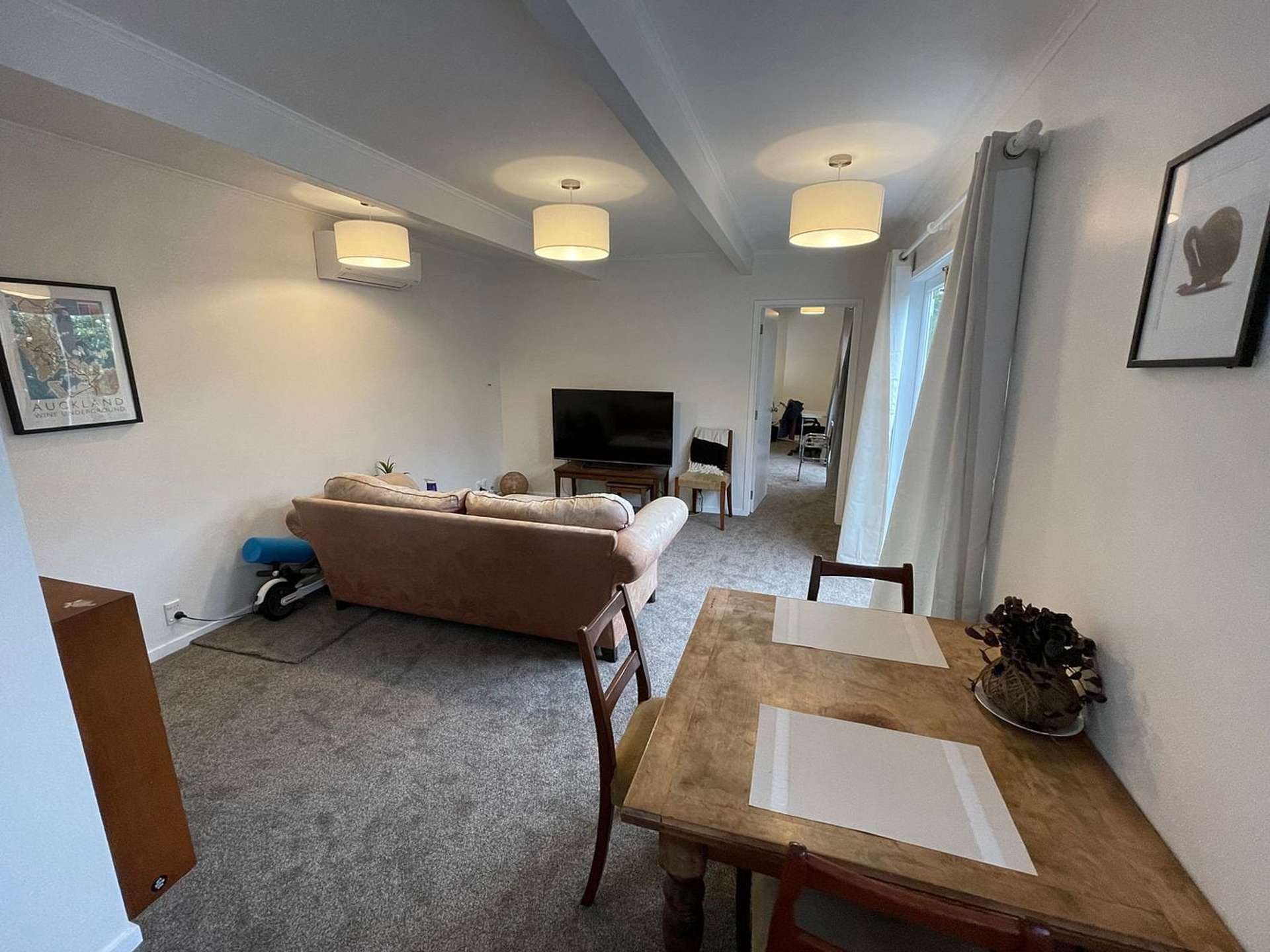 40B Crummer Road Grey Lynn_0