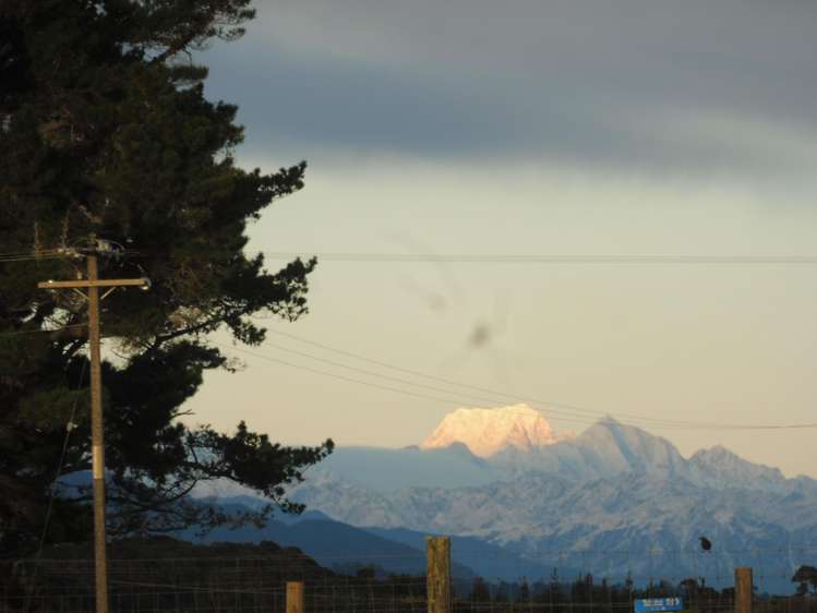 Adair Road Ruatapu_27