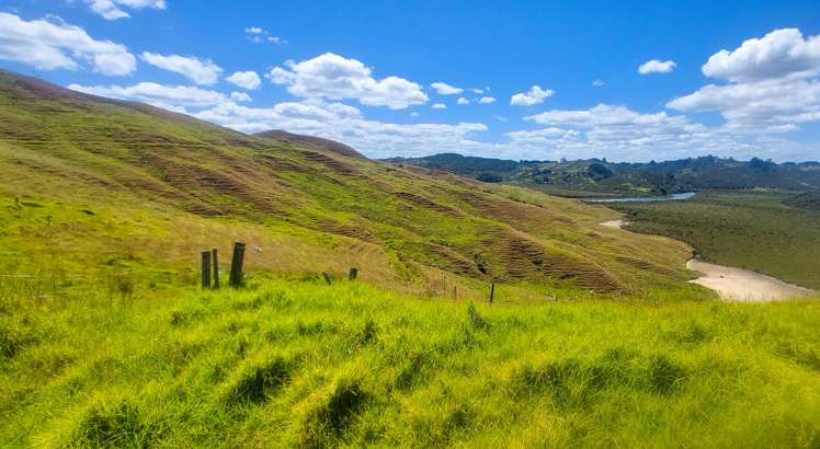 Brindle Road Opononi_5