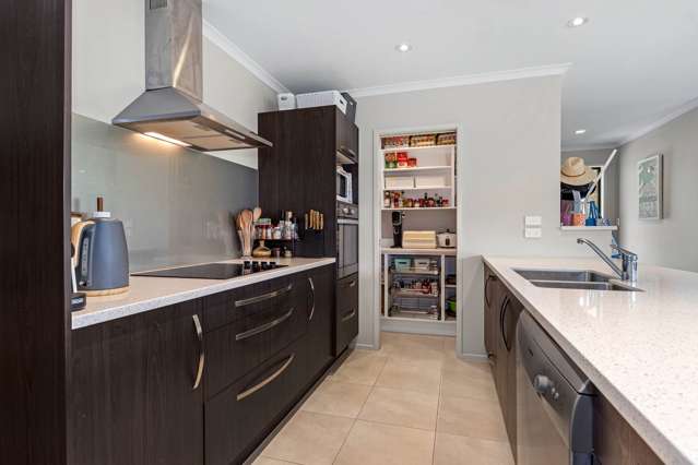 67 Bush Haven Drive Kamo_1