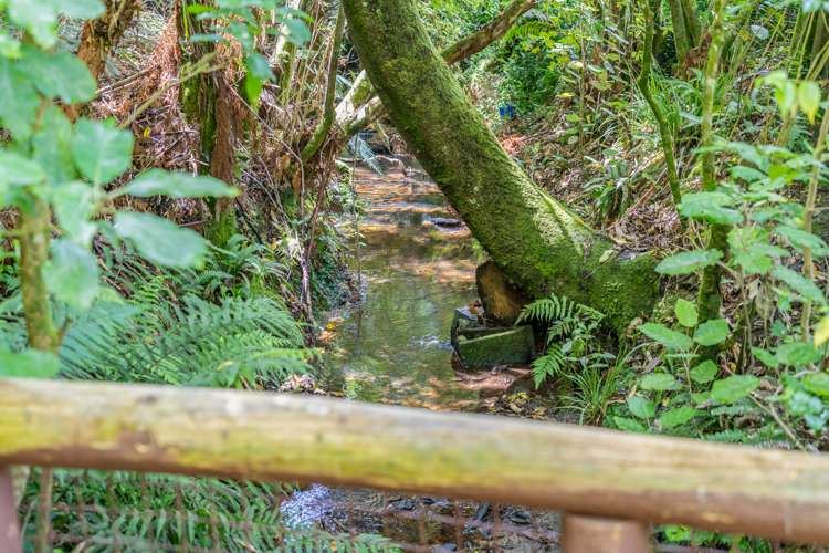 3 Fendalton Crescent Pinehaven_26