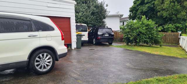 119 Mahia Road Wattle Downs_1