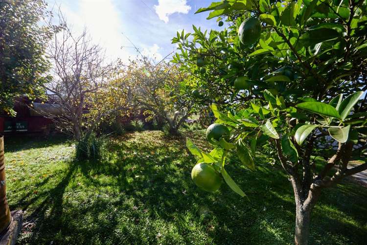 8 Puketa Road Kaikoura_23