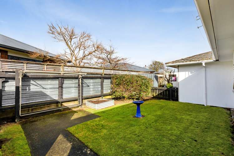 3/265 Carrington Street Vogeltown_26