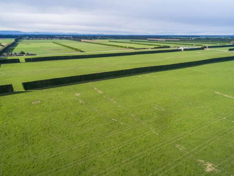 46 Mitchells Road Bankside_25