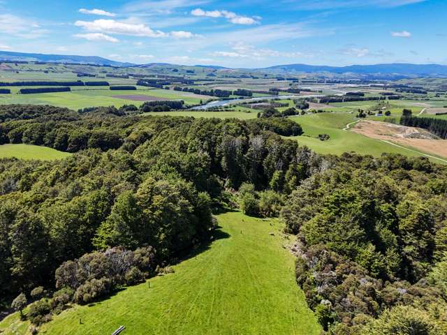 251 Lillburn Monowai Road Tuatapere_3