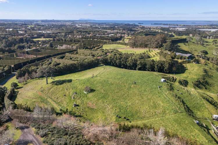 263 Hot Springs Road Katikati_12