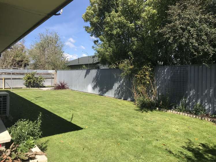 3/507 Eastbourne Street East Hastings_9