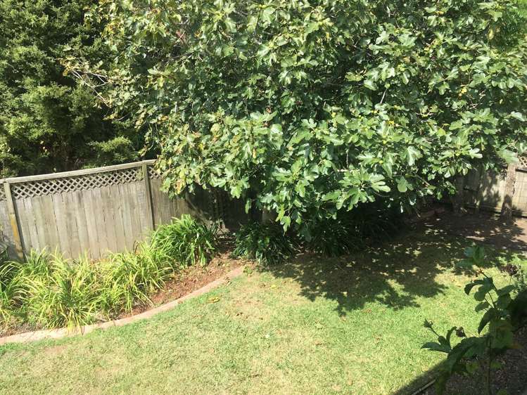 20 Amherst Place Albany_15