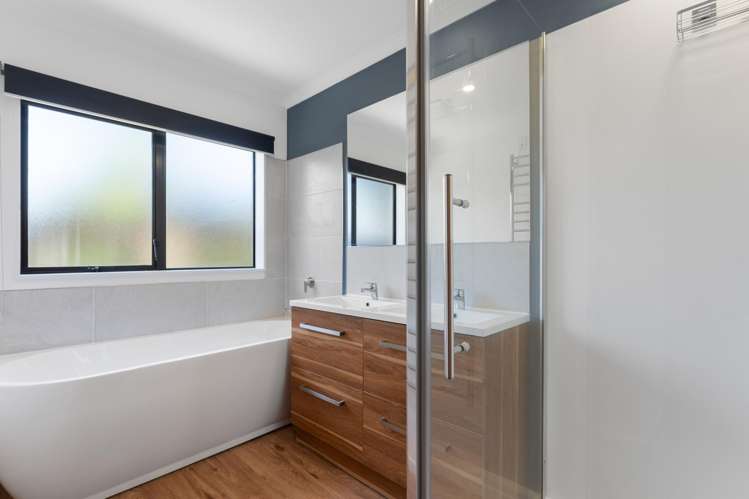 28a Freyberg Street Roslyn_9