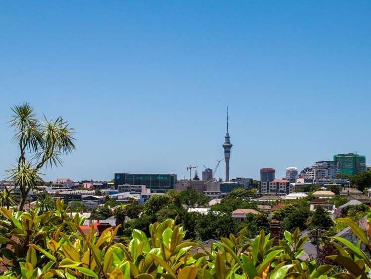 11 Elgin Street Grey Lynn_13