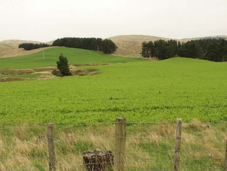 912 Range Road Pongaroa_10