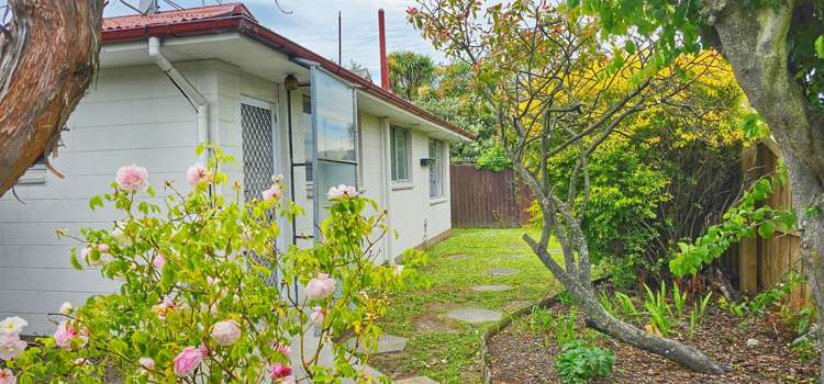 1/149 Linwood Avenue Linwood_3