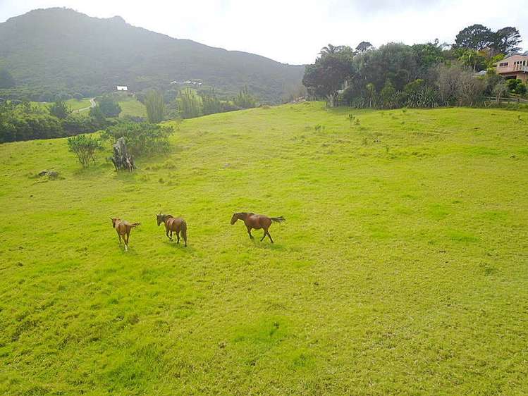 50 Medland Road Great Barrier Island (Aotea Island)_16