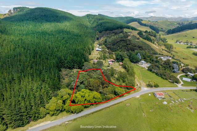 Lot 1, 4107 Masterton Castlepoint Road Tinui_1