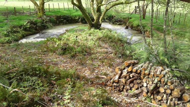 207 Old Mountain Road Karamu_18