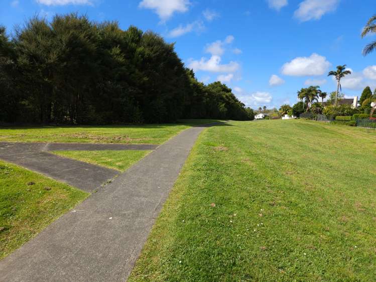 34 Widdison Place Albany_10