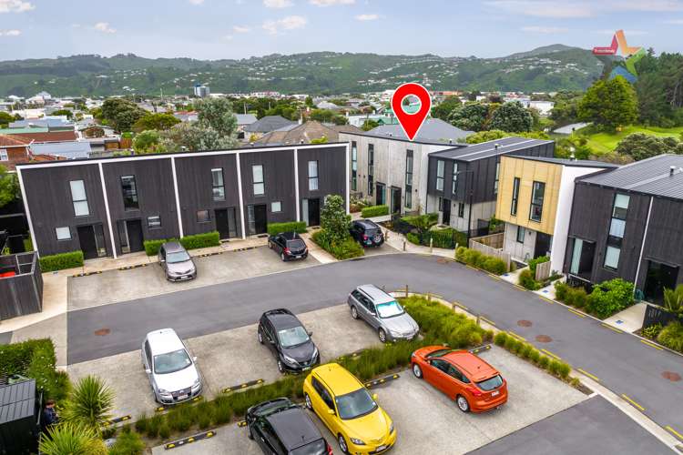 15 Te Ara O Paetutu Petone_21