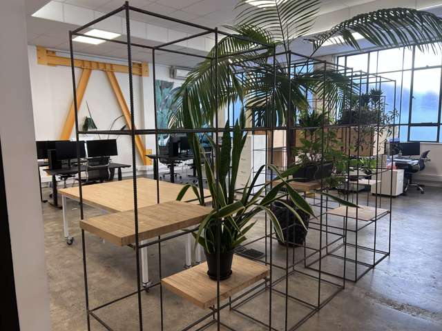 2/42 Tennyson Street South Napier South_4