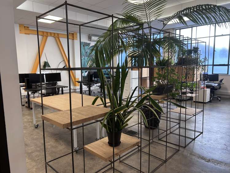 2/42 Tennyson Street South Napier South_4