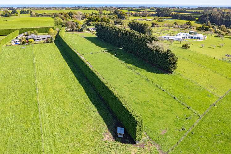 78a Lilybank Road Brunswick_14