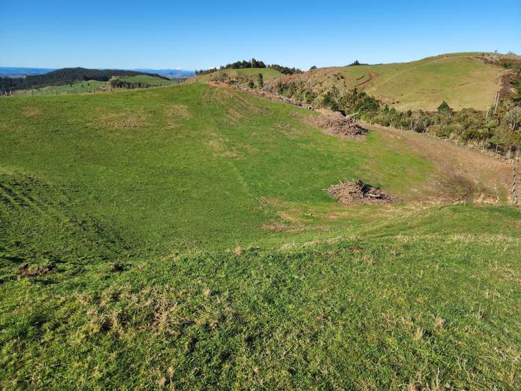 Te Anga Road Waitomo_13