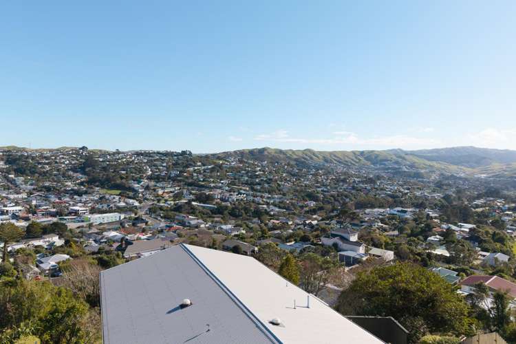 43 Chapman Street Johnsonville_22