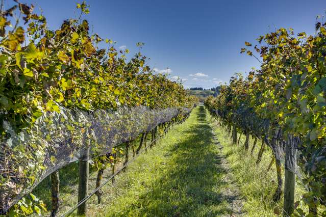 166 Mere Road Fernhill_1