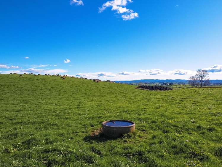 402 Awatane Road Otorohanga_25