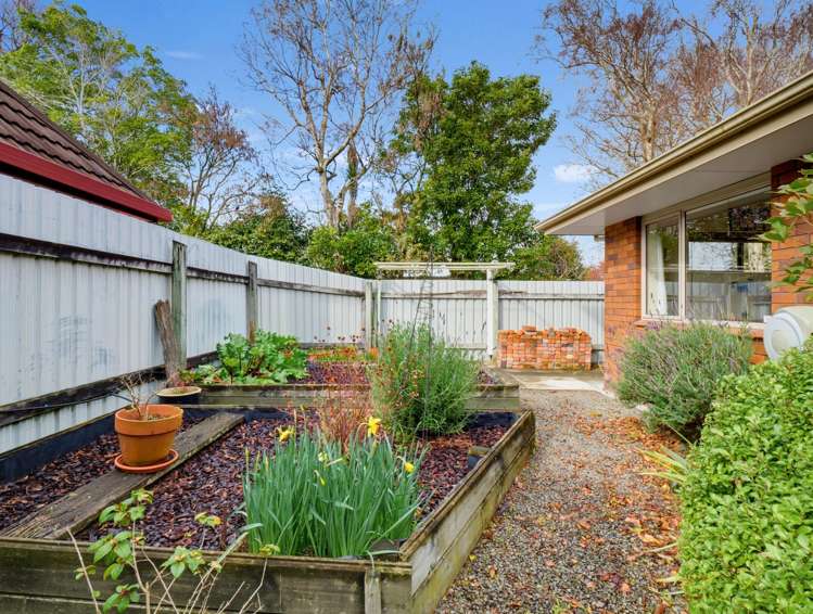 219 Victoria Ave Hokowhitu_16