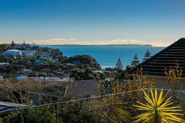 12a Newhaven Terrace Mairangi Bay_1