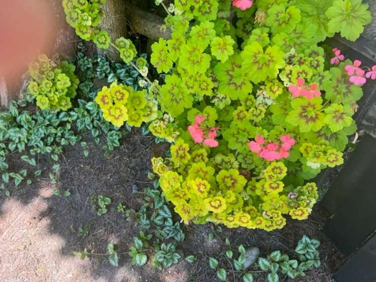 92 Reservoir Street Putaruru_24