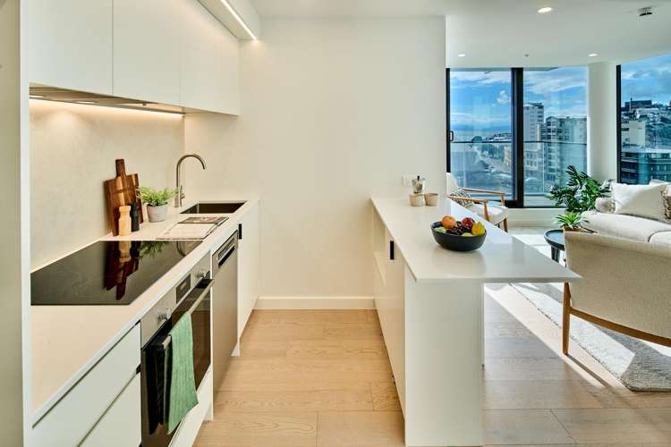 603/10A Alpha Street Te Aro_3