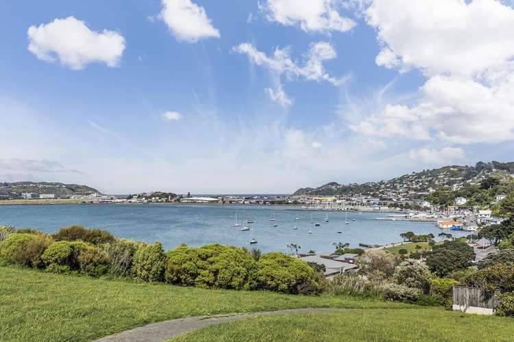 33a Treasure Grove Hataitai_1