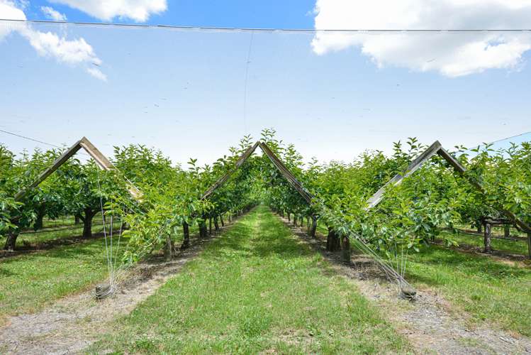 104 College Road Hexton_7