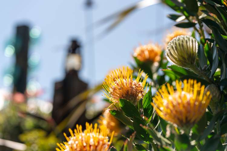 18 Takahe Drive Paraparaumu Beach_8