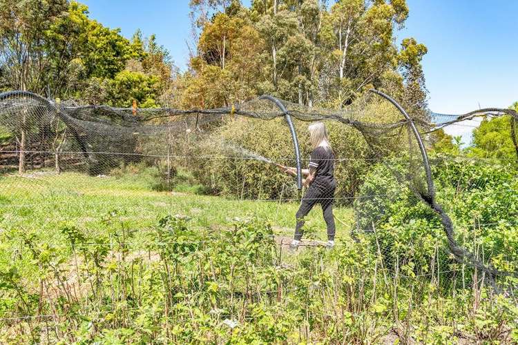 253A Kokotau Road Kokotau_46