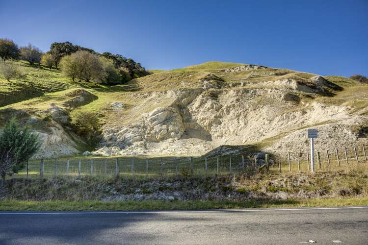 3503 Porangahau Road Porangahau_21