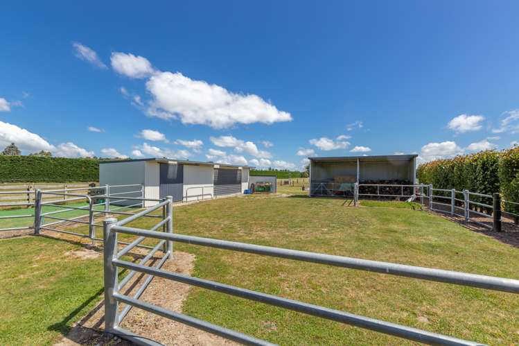 2/195 Walkers Road Rolleston_14