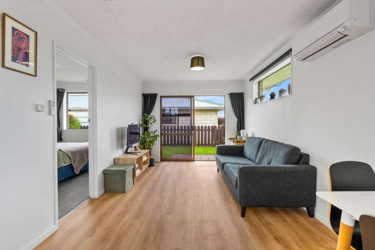 227E Oxford Street South Dunedin_9