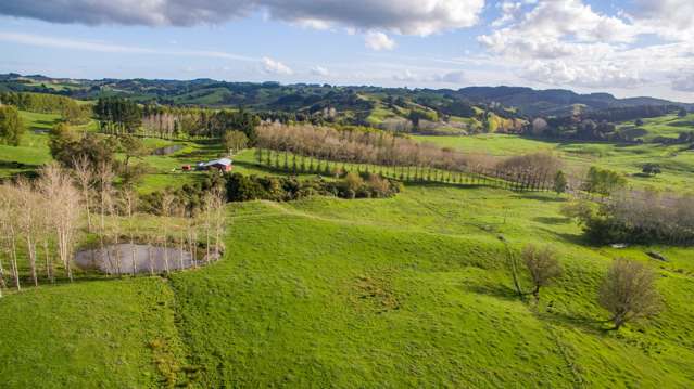 945 Waiotira Road Mangapai and Surrounds_1