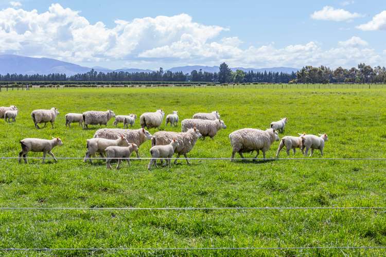 526 Auchenflower Road Darfield_22