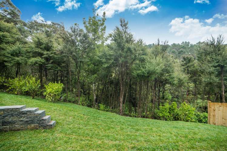 38 Golden Morning Drive Albany Heights_4