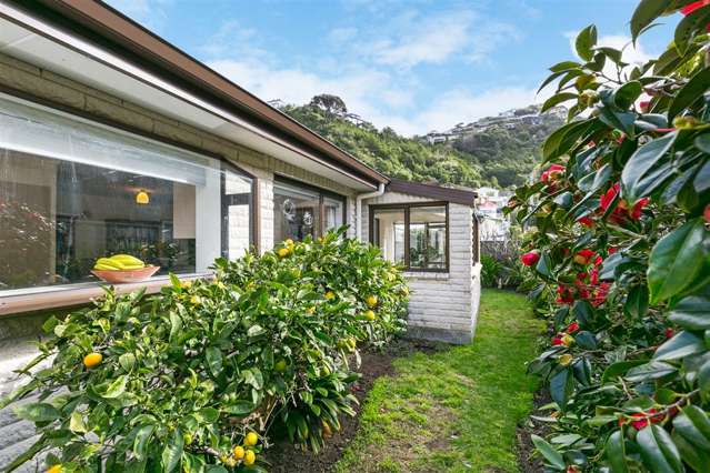 213 Sutherland Road Lyall Bay_2